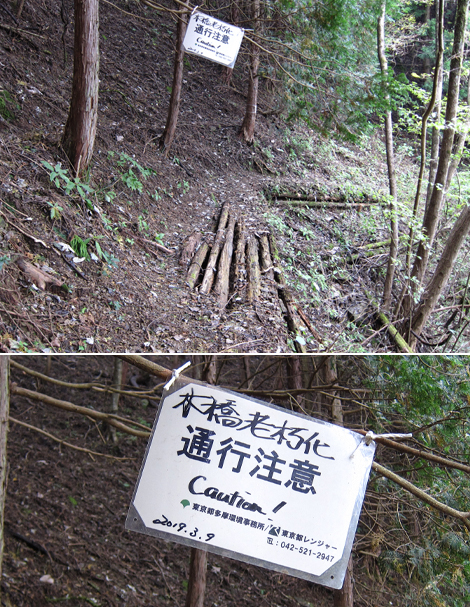 20191031hike (239)